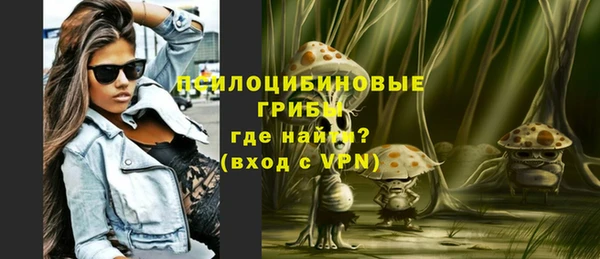 a pvp Абаза