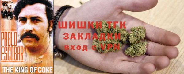 крисы Алзамай