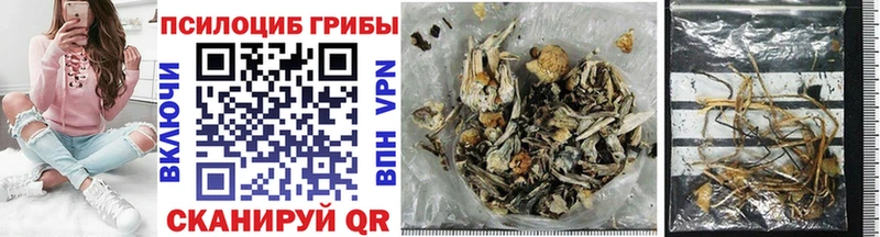 Псилоцибиновые грибы MAGIC MUSHROOMS Хабаровск