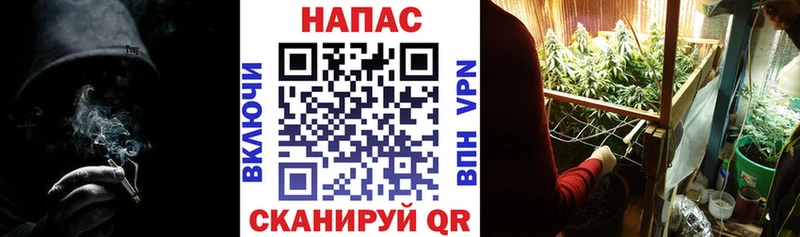 Бошки Шишки марихуана  блэк спрут ССЫЛКА  Хабаровск 